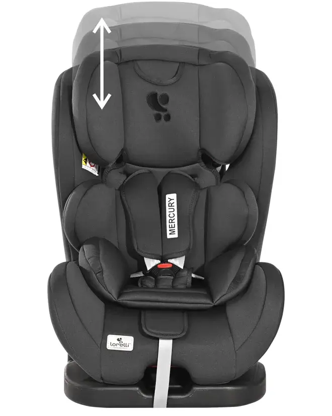 Дитяче автокрісло Lorelli Mercury Grey & Black, (0-36кг)